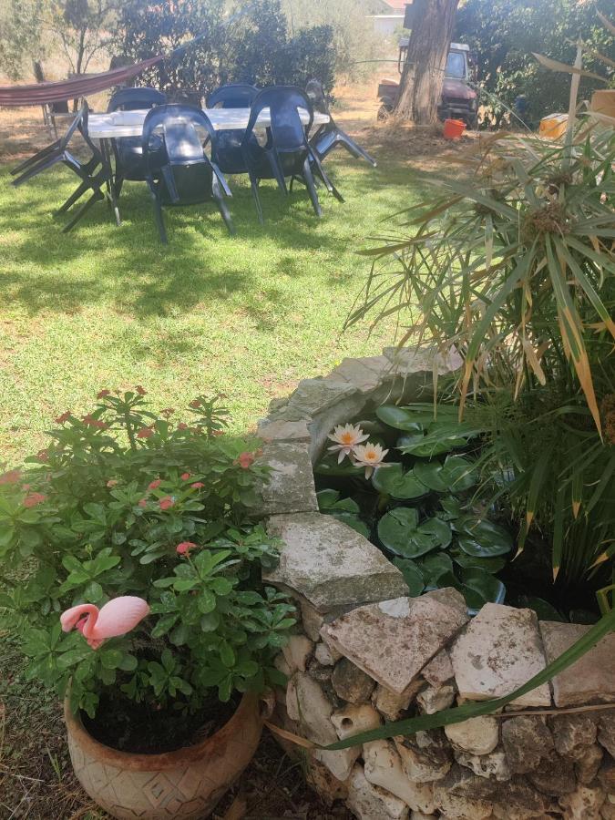 Chez Rothman Sublet Apartment Shadmot Devora Exterior photo